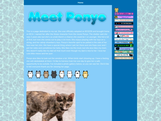 mykitty screenshot