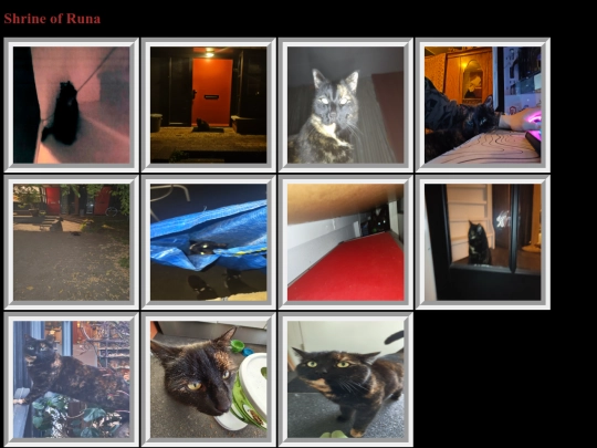 runa screenshot