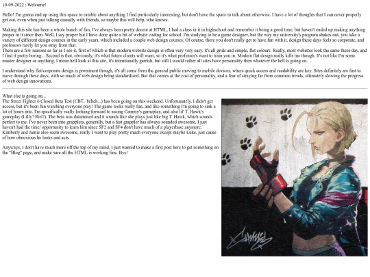 blog1 screenshot