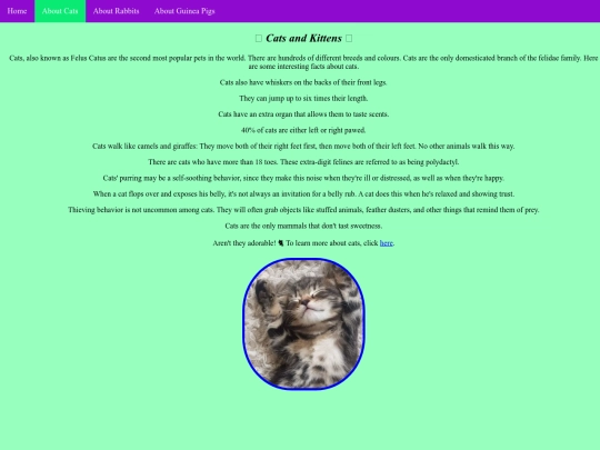 cats screenshot