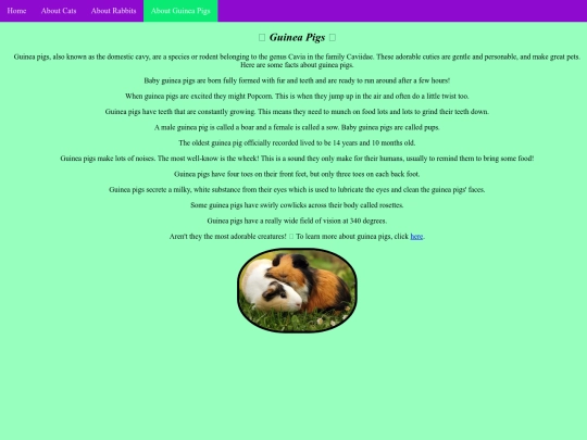 guineapigs screenshot