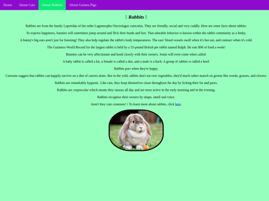 rabbits screenshot