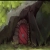 loloimu.neocities.org avatar