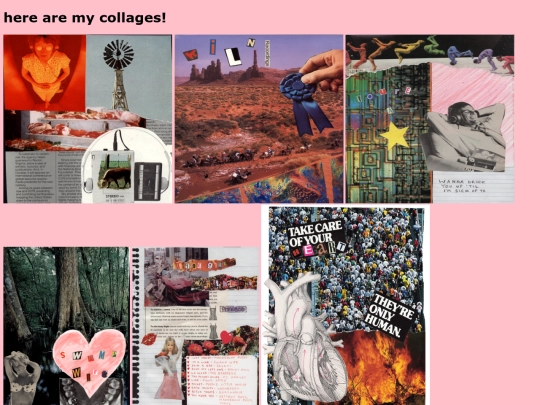 collages screenshot