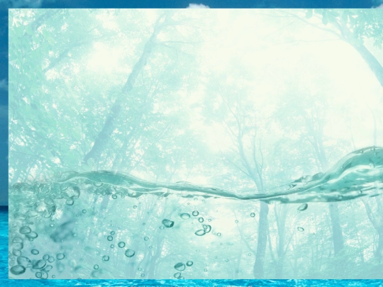 currents/photosynthesized screenshot