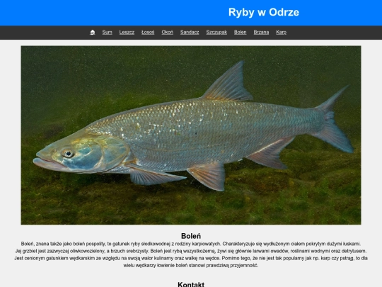 bolen screenshot