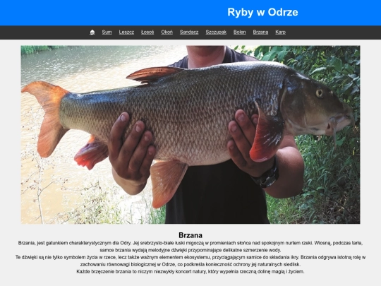 brzana screenshot