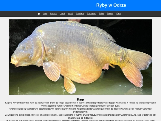 karp screenshot