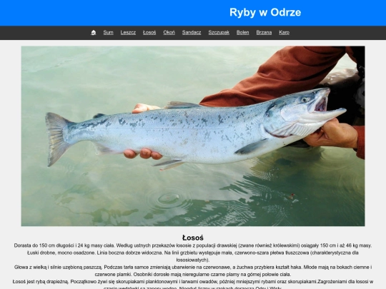 losos screenshot