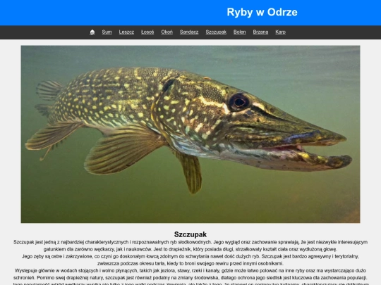 szczupak screenshot