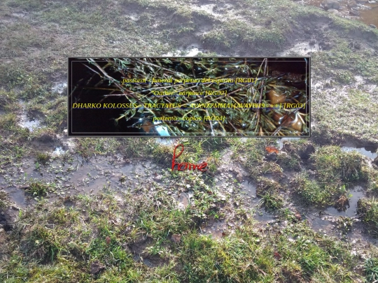 releasesdos screenshot