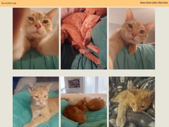 gallerykyliek screenshot