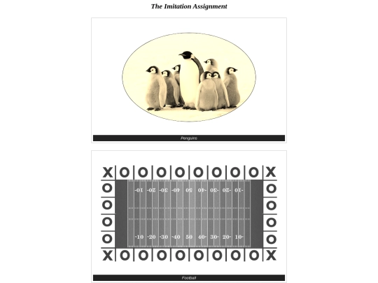 imitation_assignment screenshot