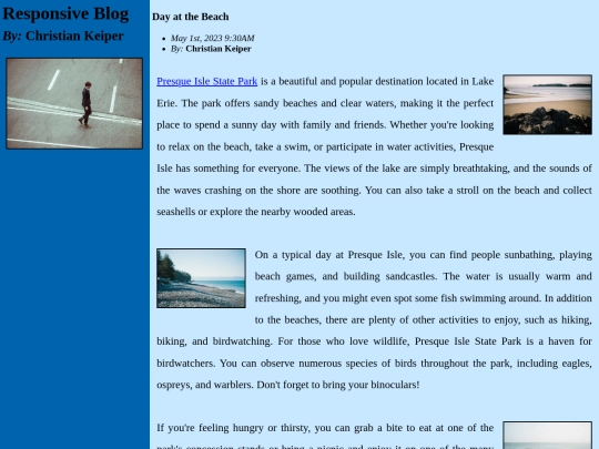 responsive_blog screenshot