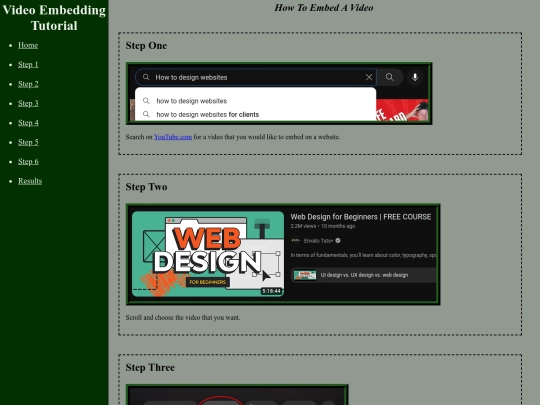 video_embed screenshot