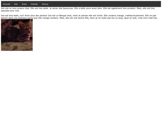 Isis screenshot