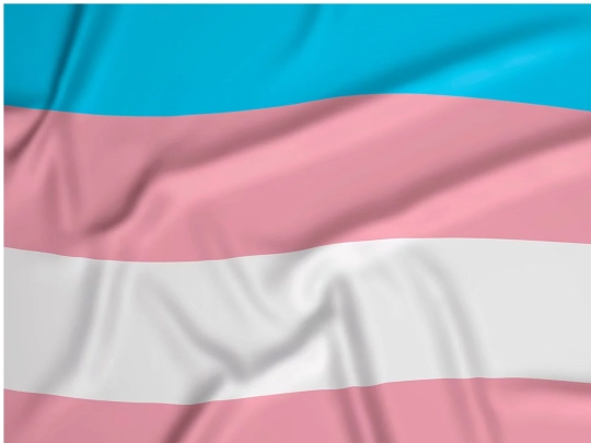 genderwiki screenshot