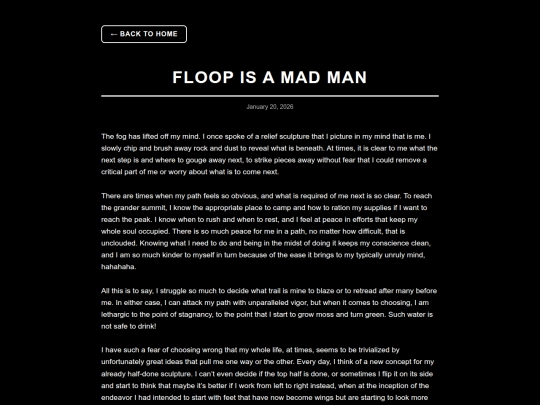 newblogs/floopisamadman screenshot