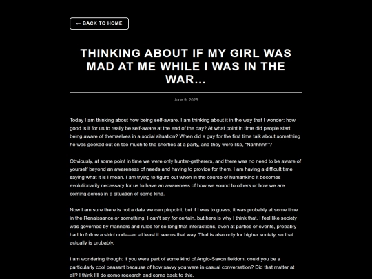 newblogs/madinthewar screenshot