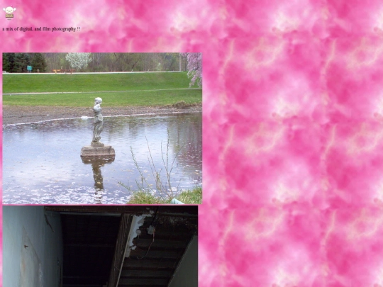 photography screenshot