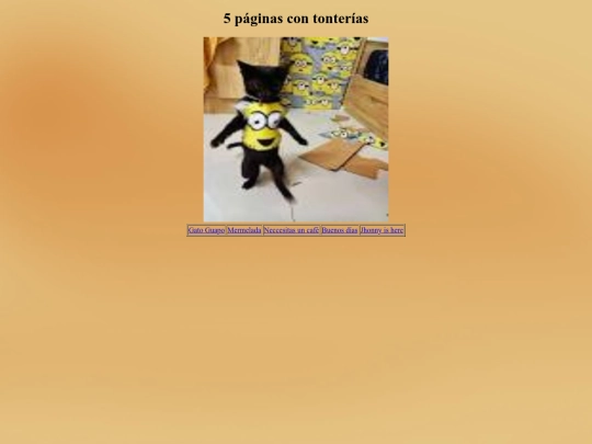 5_pag/pagina2 screenshot