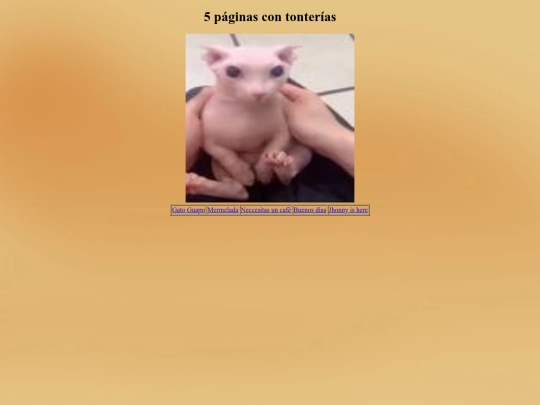 5_pag/pagina3 screenshot