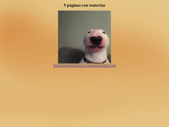 5_pag/pagina4 screenshot