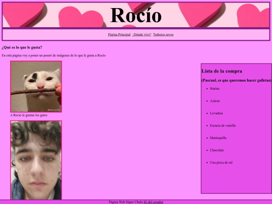 opcional/pag1 screenshot