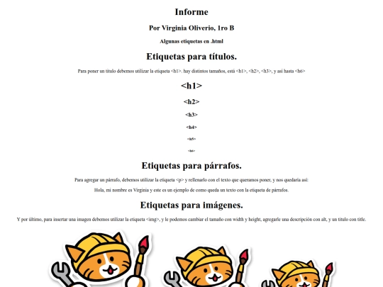 informe screenshot