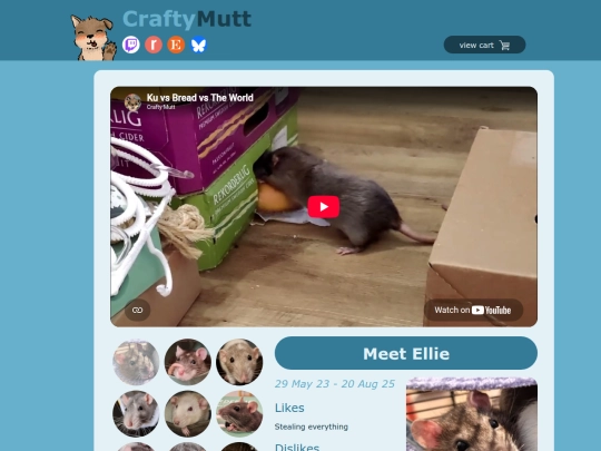 rats screenshot
