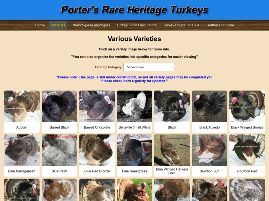 BackupNewVarieties screenshot