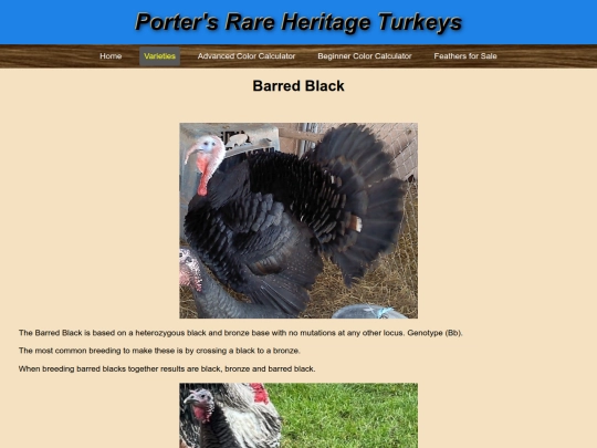 BarredBlack screenshot