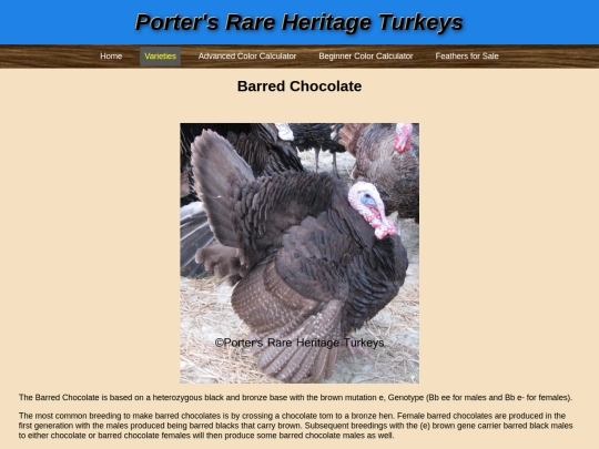 BarredChocolate screenshot