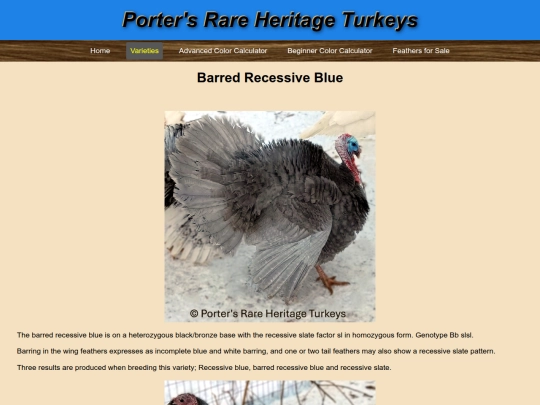 BarredRecessiveBlue screenshot