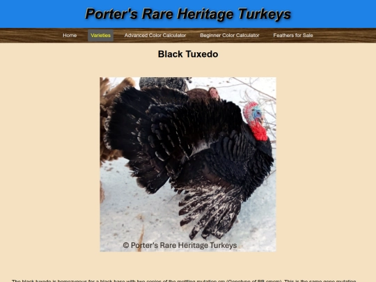 BlackTuxedo screenshot