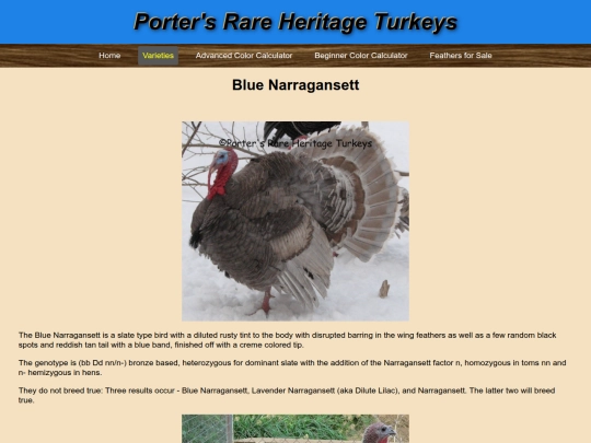 BlueNarragansett screenshot