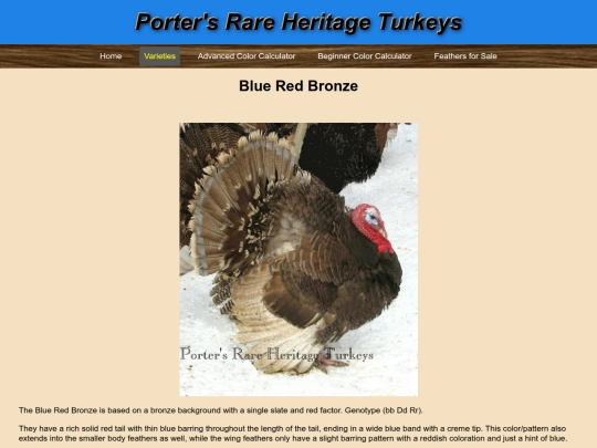 BlueRedBronze screenshot