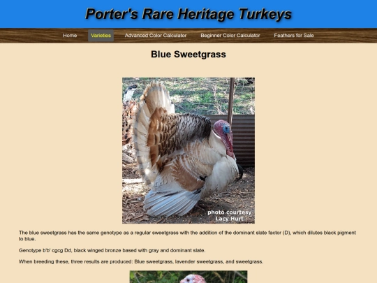 BlueSweetgrass screenshot