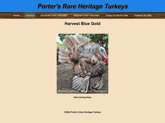 BlueWingedHarvestGold screenshot