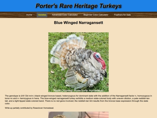BlueWingedLavenderNarragansett screenshot