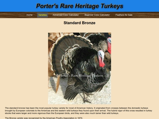 Bronze screenshot