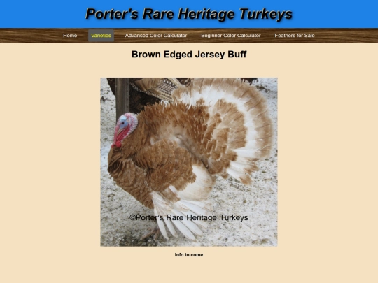 BrownEdgedJerseyBuff screenshot
