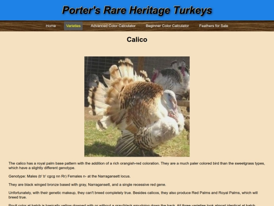 Calico screenshot