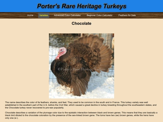 Chocolate screenshot