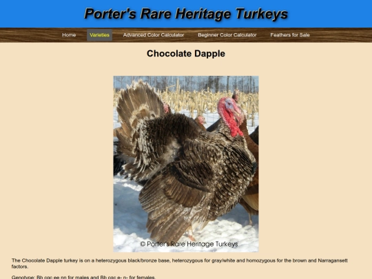 ChocolateDapple screenshot