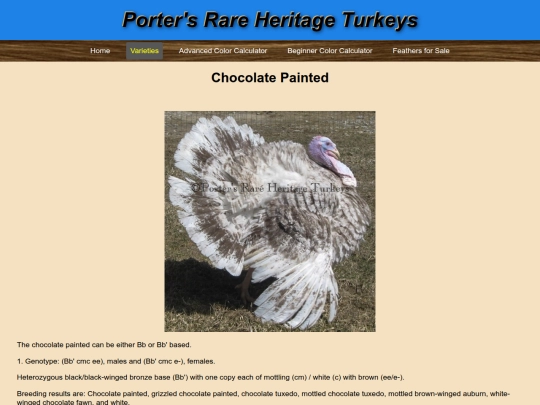 ChocolatePainted screenshot