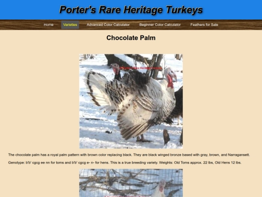 ChocolatePalm screenshot