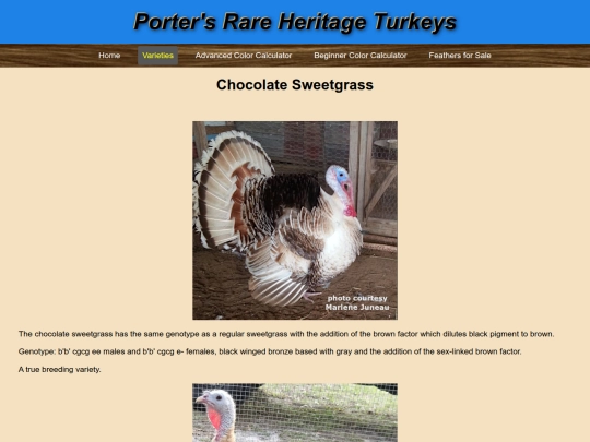 ChocolateSweetgrass screenshot