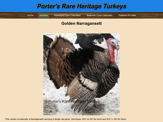 GoldenNarragansett screenshot