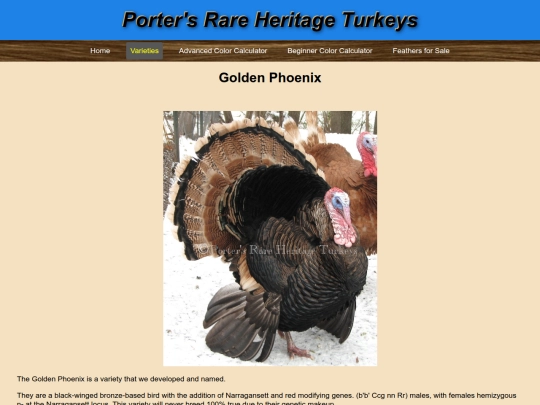 GoldenPhoenix screenshot